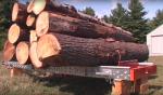 Kmenová pásová pila Kanada -HD36 |  Pilařská technika | Dřevoobráběcí stroje | Drekos Made s.r.o