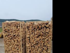 Palivové dřevo Buk