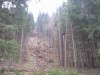 Lesná lanovka