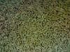 DREVENY PALIVOVE PELETY 6mm