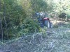 Frezovanie naletovych drevin