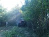 Frezovanie naletovych drevin