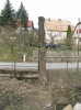 Predám kmene - javor, jaseň, lipa