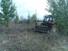Frézovanie naletovych drevin