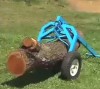 Kleště Traktor FOREST 370