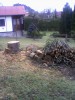 lipové dřevo