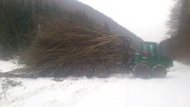 TIMBERJACK 1110