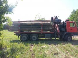 Kúpim ihličnatú vlákninu a dub 3a,b
