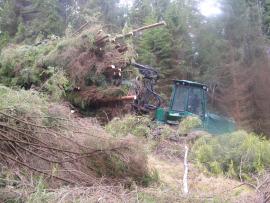 TIMBERJACK 1110