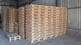 Predam nove euro palety