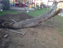 Orechové drevo