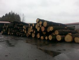 Koupíme dubovou kulatinu, nebo dubové řezivo