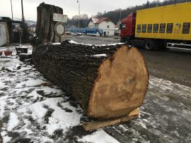 Prodám Dubovou kulatinu