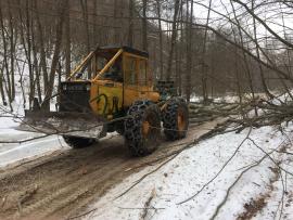 Kúpa dubovej,jaseňovej a bukovej guľatiny