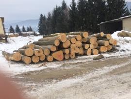 Kúpa dubovej,jasenovej a bukovej guľatiny.