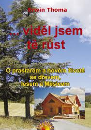 zimní (měsíční) dřevo
