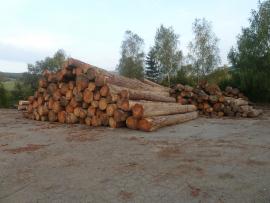 Kupim gulatinu cerveny smrek (smrekovec)