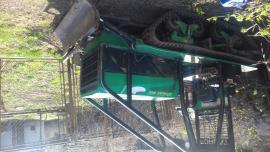 Predám FORCAT 36 D