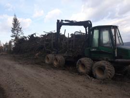Timberjack 810B