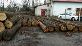Predaj DUBOVEJ guľatiny.
