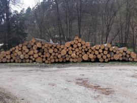 Predaj smrekovej guľatiny.