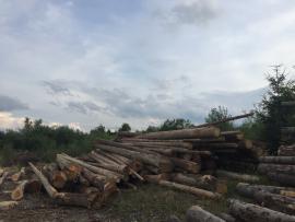 Smreková guľatina ihneď k odberu