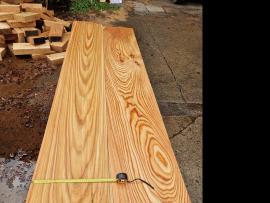 Smrekovec (Larix sp.)