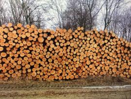 Borovice 400m3