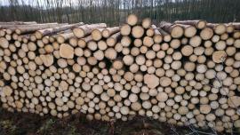 Predaj guľatiny