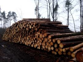 Smrková kulatina 5,1m a 5,9m