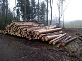 Smrková kulatina 5,1m a 5,9m