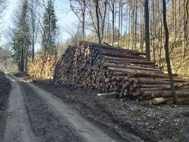 Vláknina, smrk, 2m a 4m
