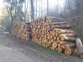 Vláknina, smrk, 2m a 4m