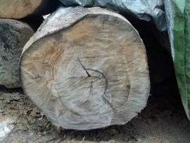 TEAK-kulatina