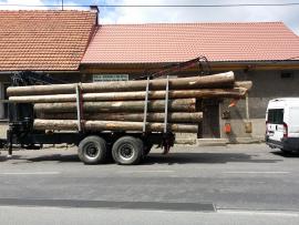 prodám Zetor16145 jede 40km/h +tr.přívěs s hydr.rukou 7m