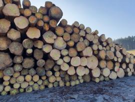 Kúpime smrekovú gulatinu 11,8 na export
