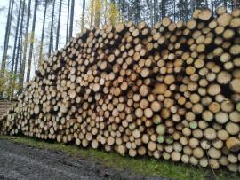 Guľatina 2,5m, 4,5,6m, 12m