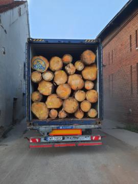 koupíme dřevo 11.8m 5.9m smrk a borovice