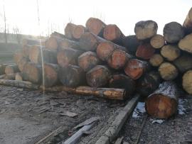 Prodáme modřínovou kulatinu 47+  10+12m