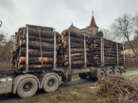 koupím dřevo na výrobu paliva  délkách