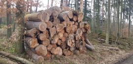 Smrková a dubová vláknina