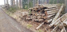 Smrková a dubová vláknina