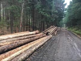 Vykupime korovcovu hmotu 11,8m