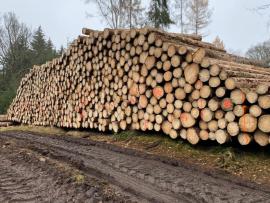 Smrková kulatina