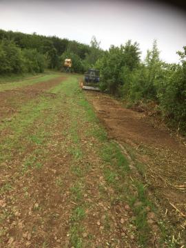 Ťažba dreva, mulčovanie a frézovanie