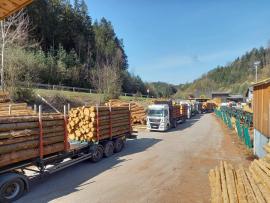 Sprostredkovanie predaja guľatiny naším partnerským pílam v Rakúsku