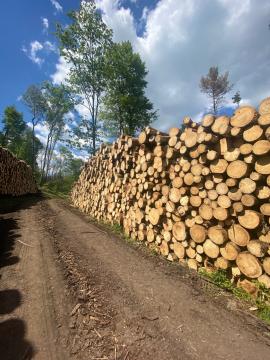 OSB Vláknina