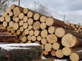 Ihličnatá drevná hmota