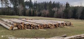 Guľatina