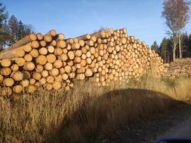 Kúpim ķôrovec
